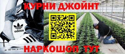 mdpv Краснодар